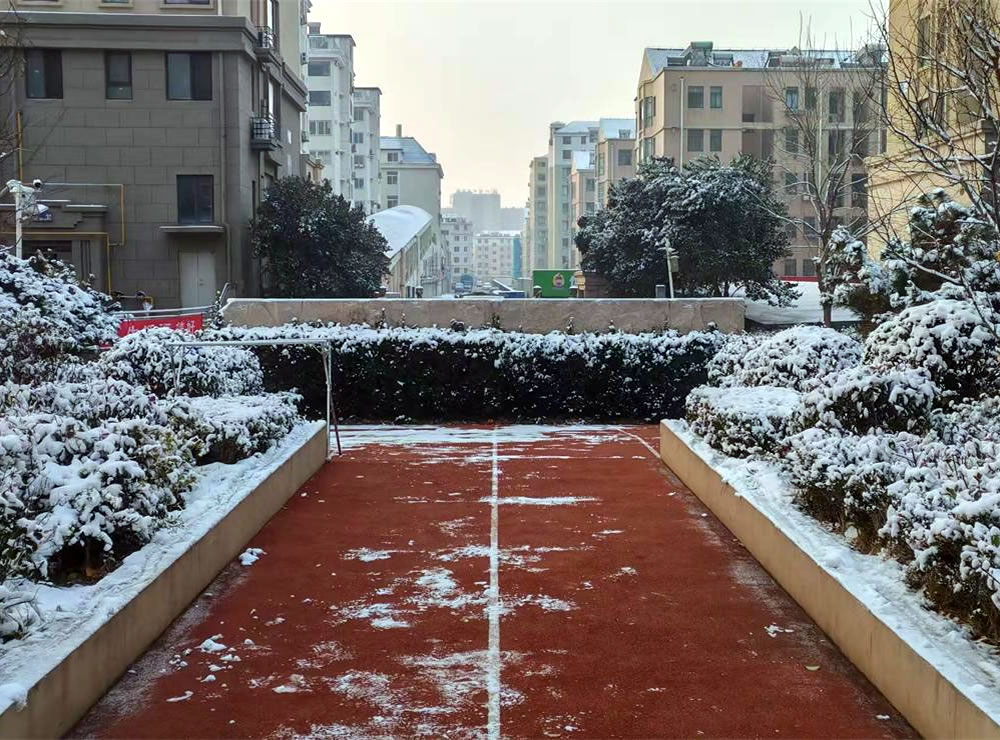 雪落三二日，古谚映天工 —— 解密莱州 “大雪不封地” 的智慧密码 第 3 张