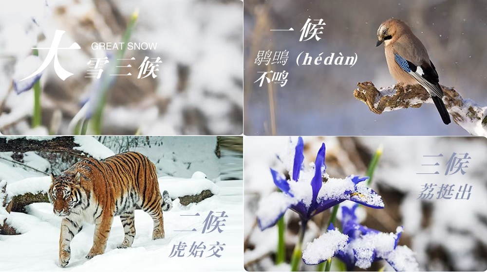 璀璨的莱州民俗文化——大雪 第 5 张