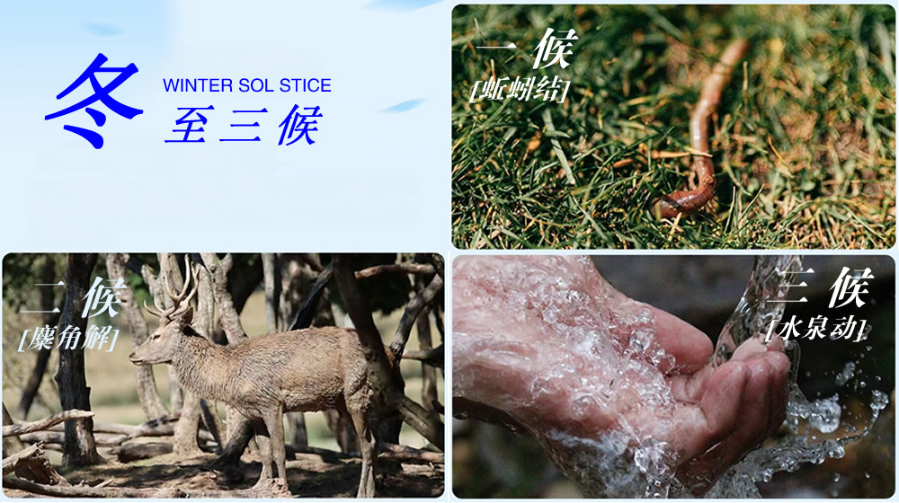 璀璨的莱州民俗文化——冬至  第 6 张