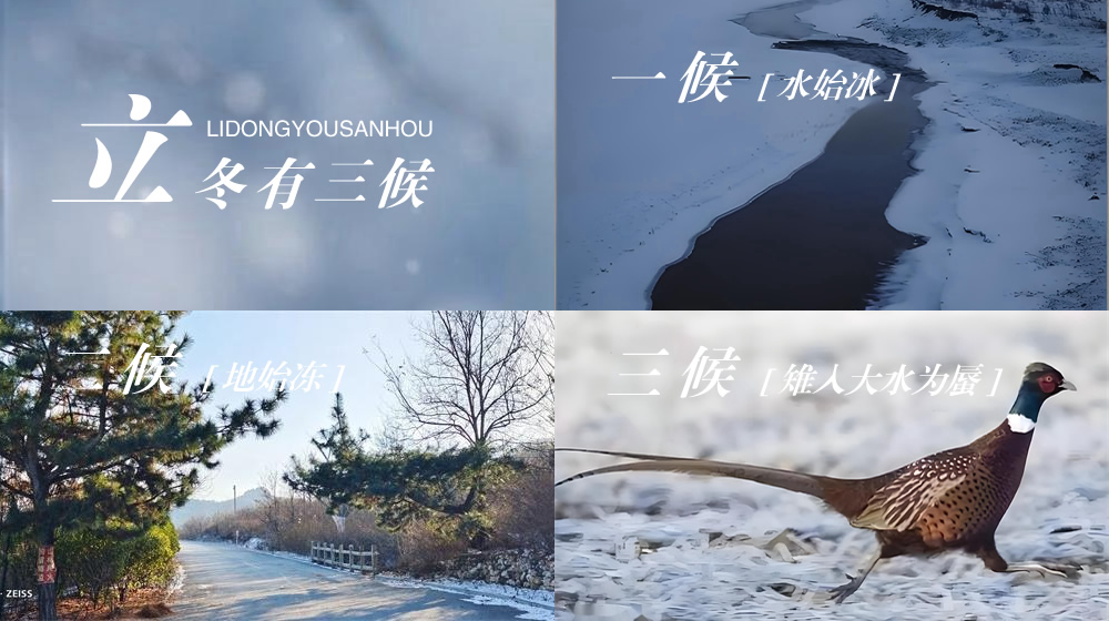 璀璨的莱州民俗文化——立冬 第 5 张