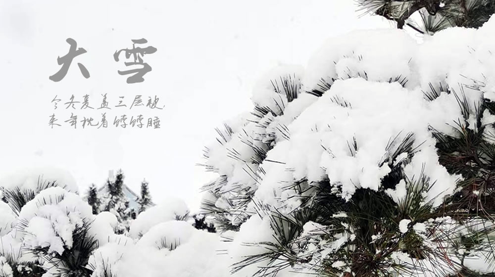 璀璨的莱州民俗文化——大雪 第 3 张