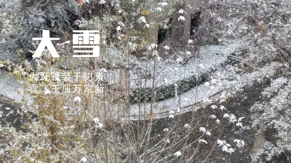 璀璨的莱州民俗文化——大雪 第 2 张