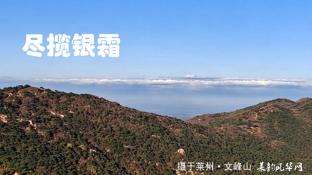 诗词十二首•感怀重阳 第 7 张