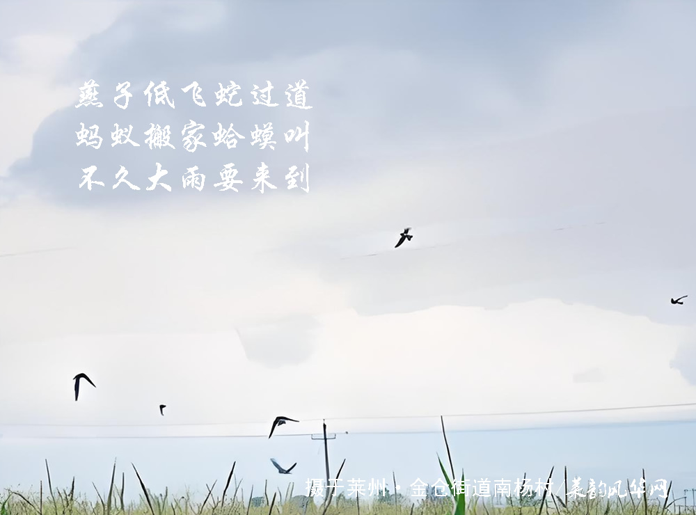 掖邑农谚藏天时，乡土老话识阴晴 第 8 张