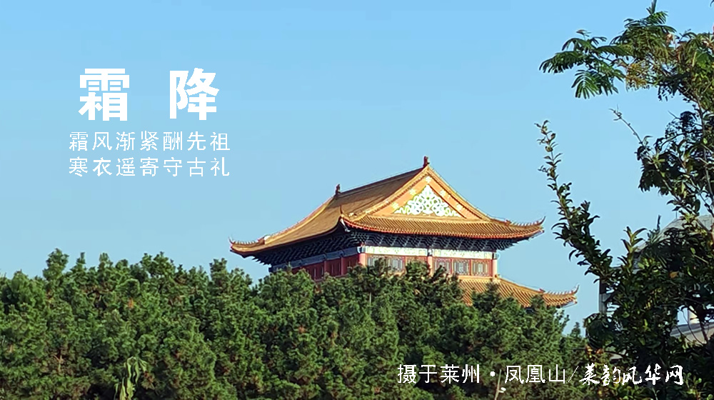 璀璨的莱州民俗文化——霜降 第 4 张