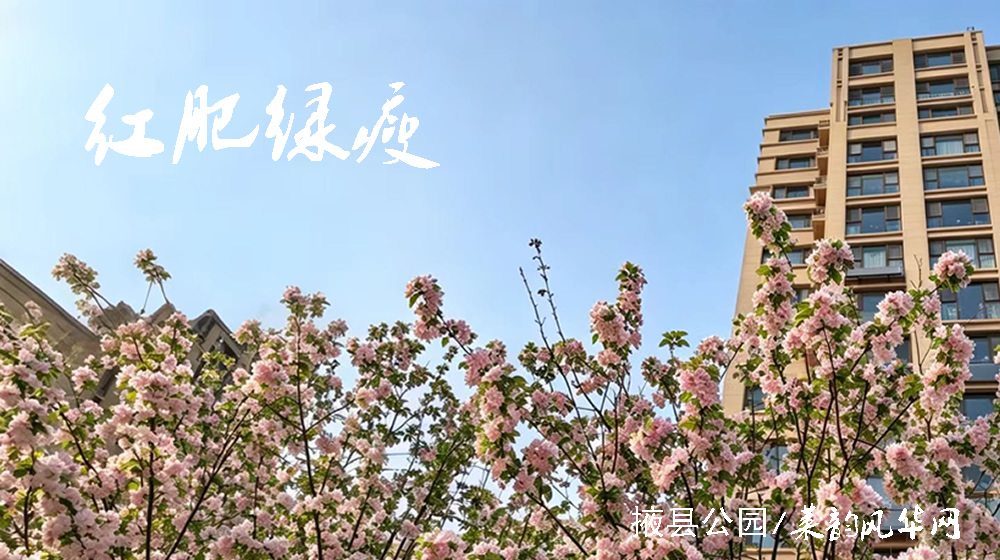 绝句四首•阳春花韵 第 3 张