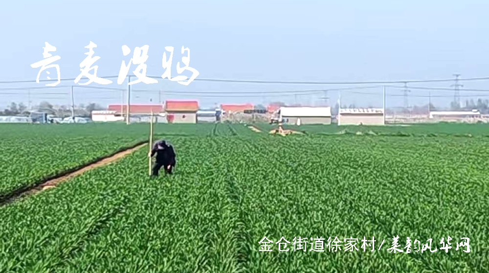诗词三首•三月三 第 3 张