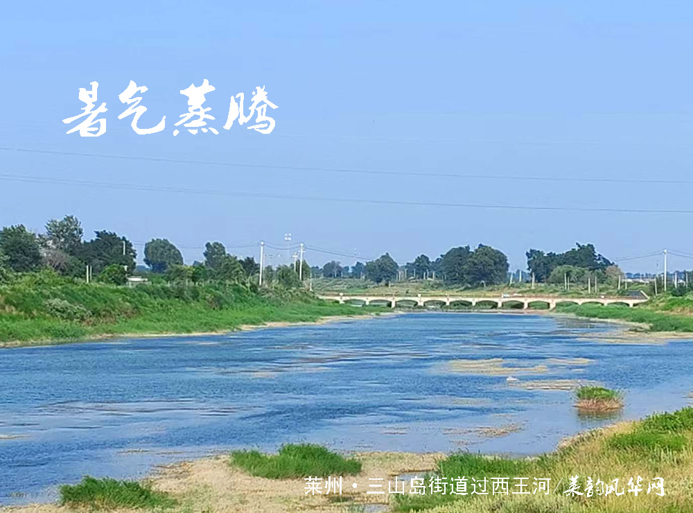 头伏十天伏，暑气的盛夏开篇    第 4 张