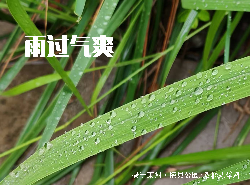 一场秋雨一场寒：老农谚背后的乡土气象密码 第 1 张