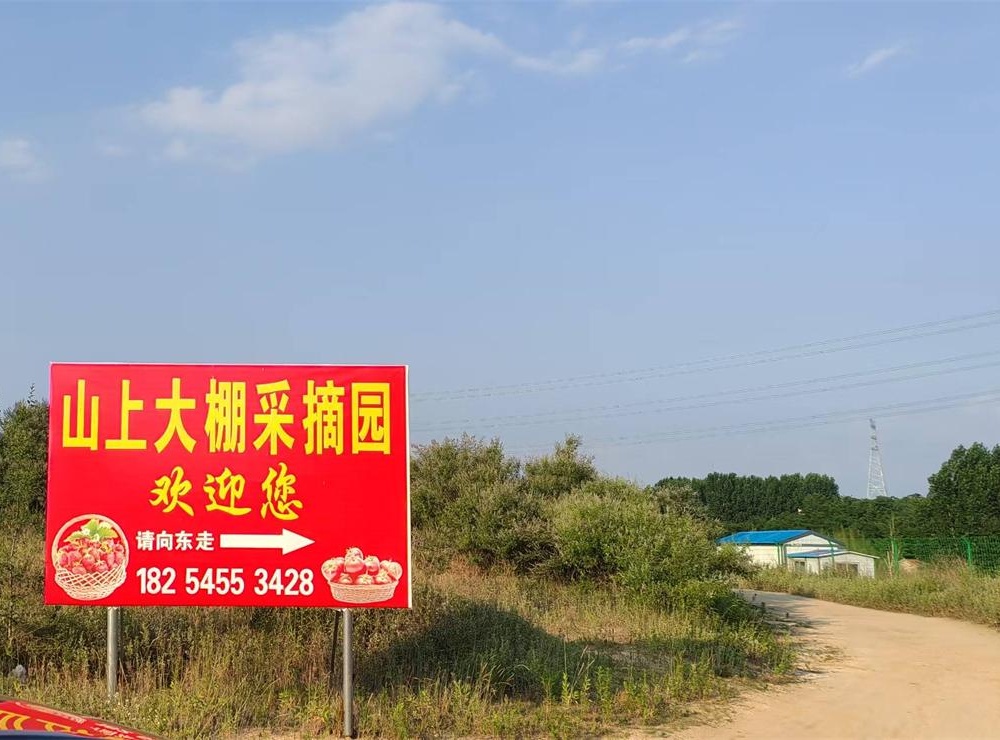 清明沟西瓜：沙壤孕佳果，清瓜润古掖 第 1 张