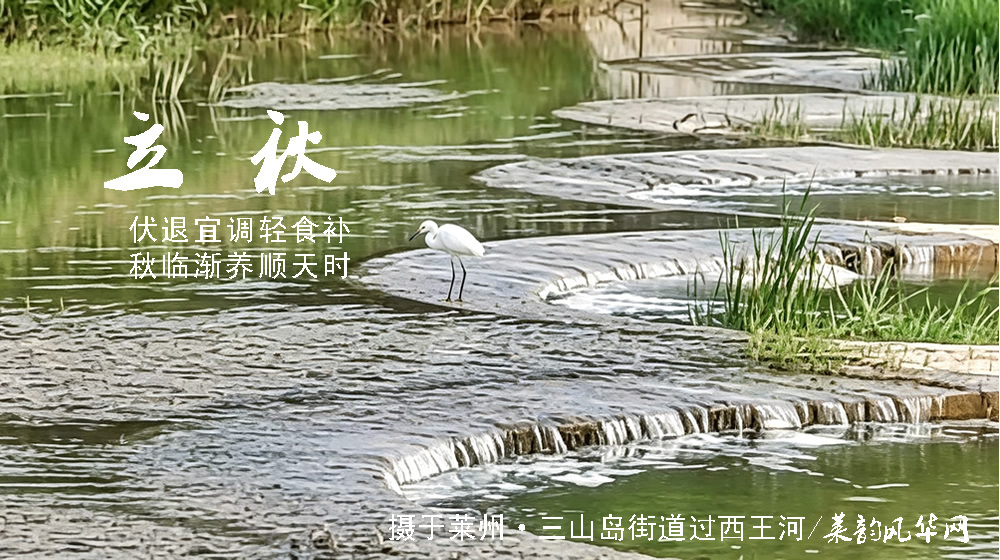 璀璨的莱州民俗文化——立秋 第 6 张 璀璨的莱州民俗文化——立秋 第 6 张