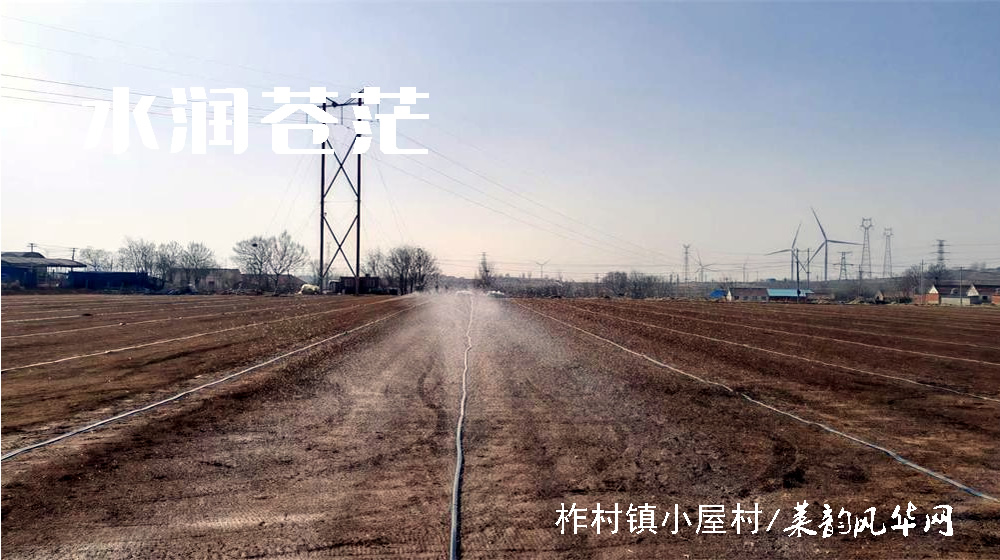 绝句三首•春耕 第 3 张