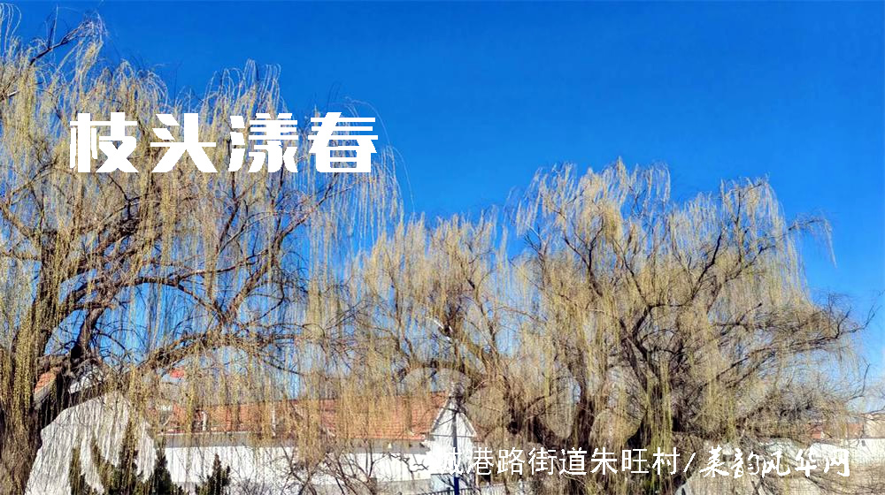 诗词三首•春韵 第 1 张