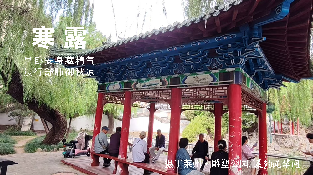璀璨的莱州民俗文化——寒露 第 7 张