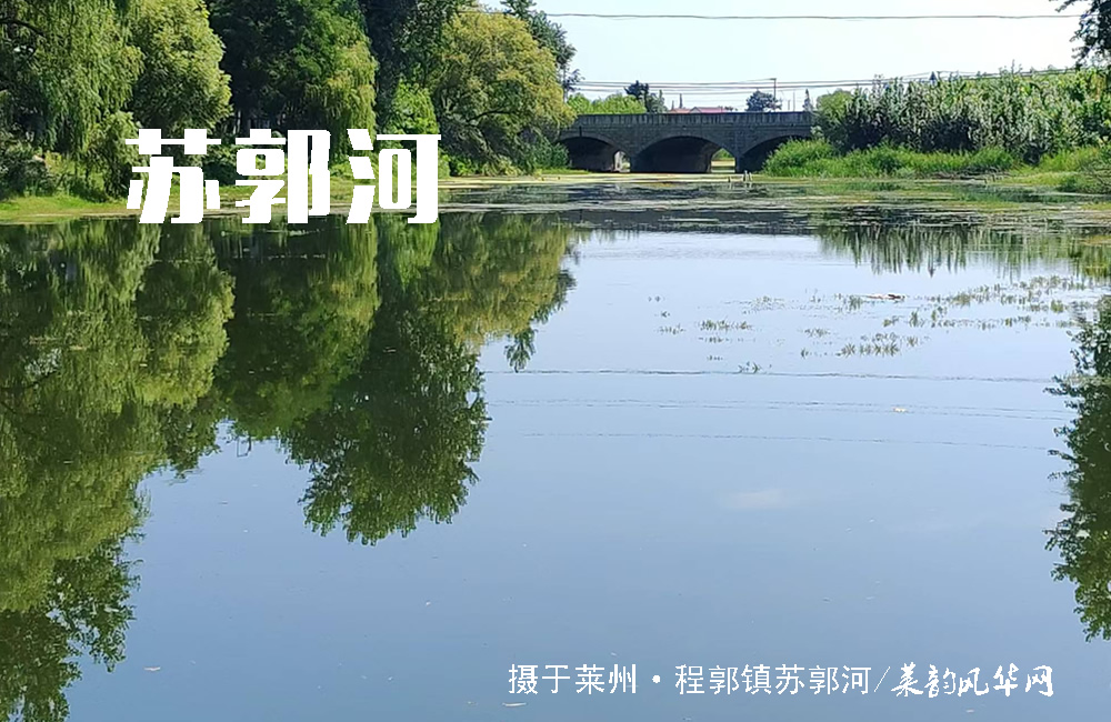 莱州山水知多少（三）——河流 第 7 张