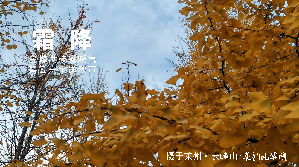 璀璨的莱州民俗文化——霜降 第 6 张