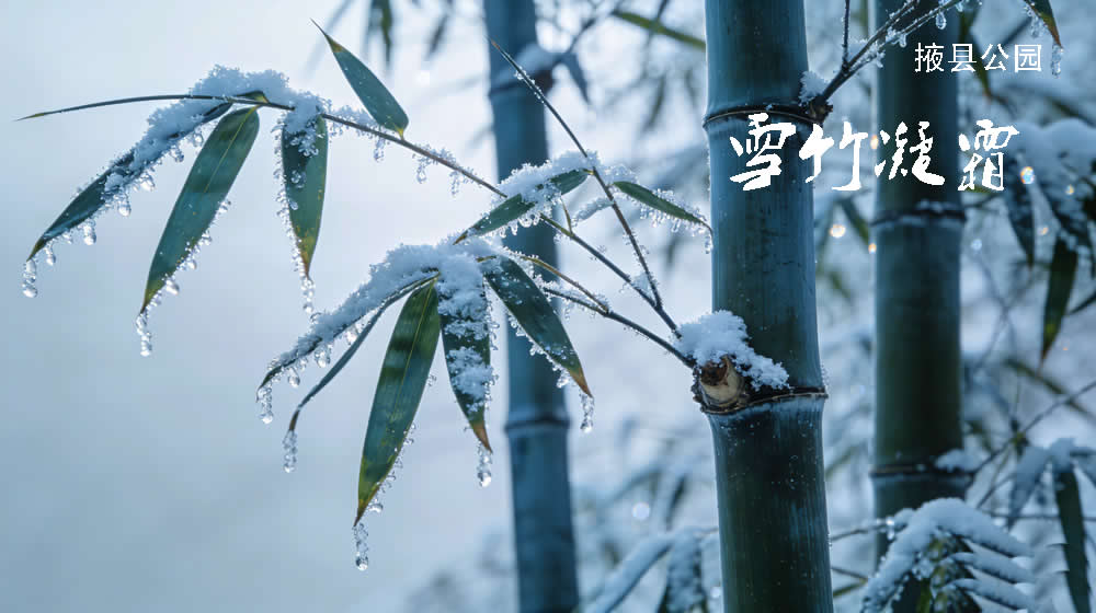 七绝·岁寒三友 第 2 张