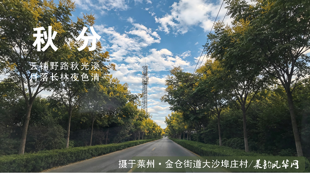 璀璨的莱州民俗文化——秋分 第 2 张