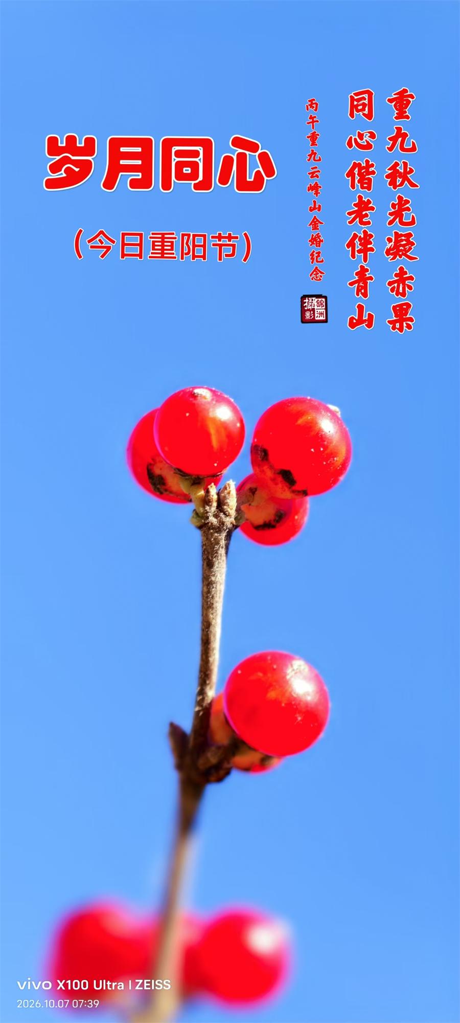 璀璨的莱州民俗文化——重阳节 第 1 张