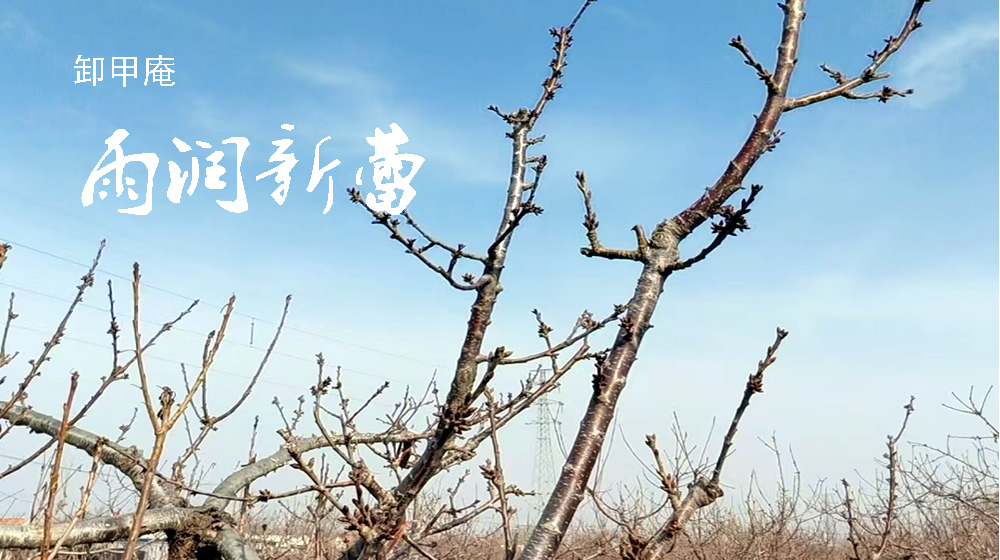 绝句三首：春雨 第 3 张