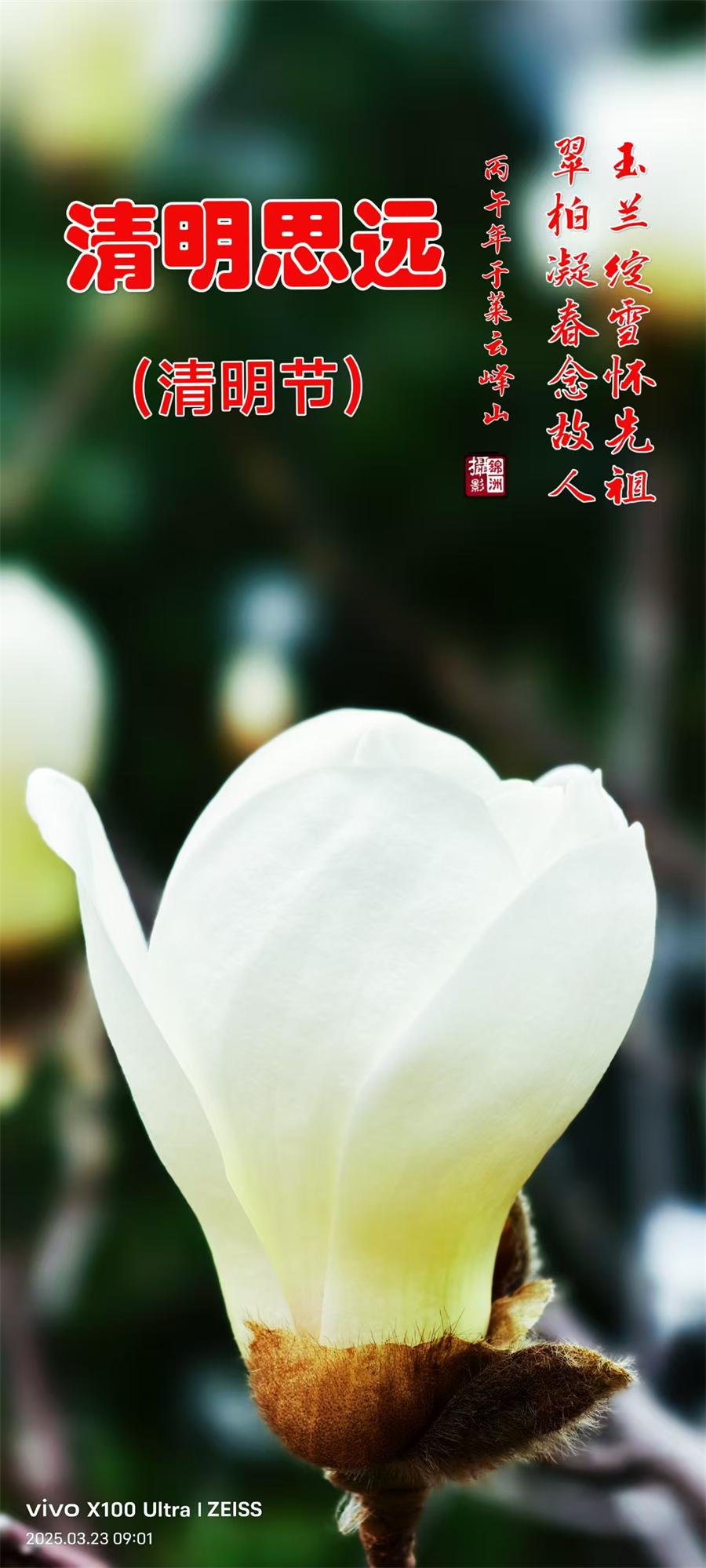 璀璨的莱州民俗文化——清明 第 1 张