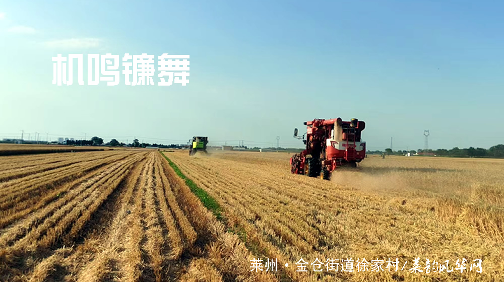 七绝•莱州三夏 第 1 张 七绝•莱州三夏 第 1 张