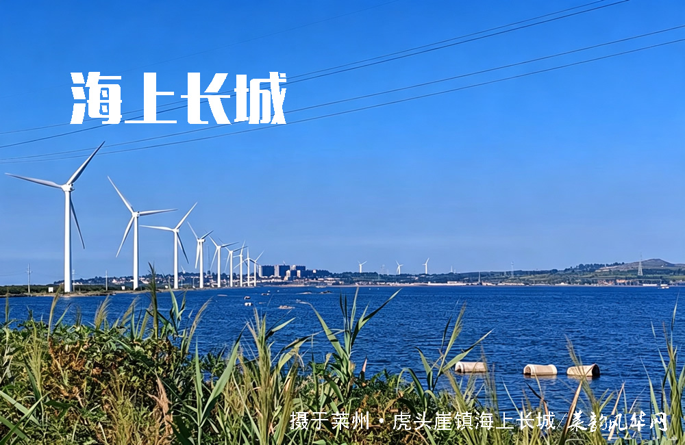 莱州山水知多少（五）——海域、港口 第 8 张