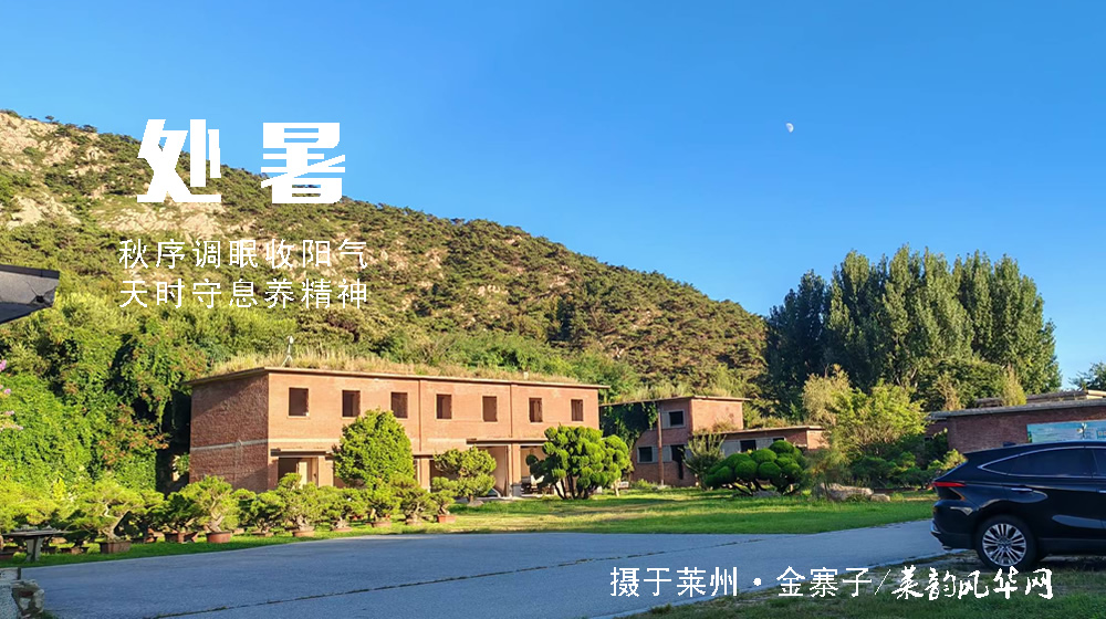 璀璨的莱州民俗文化——处暑 第 7 张