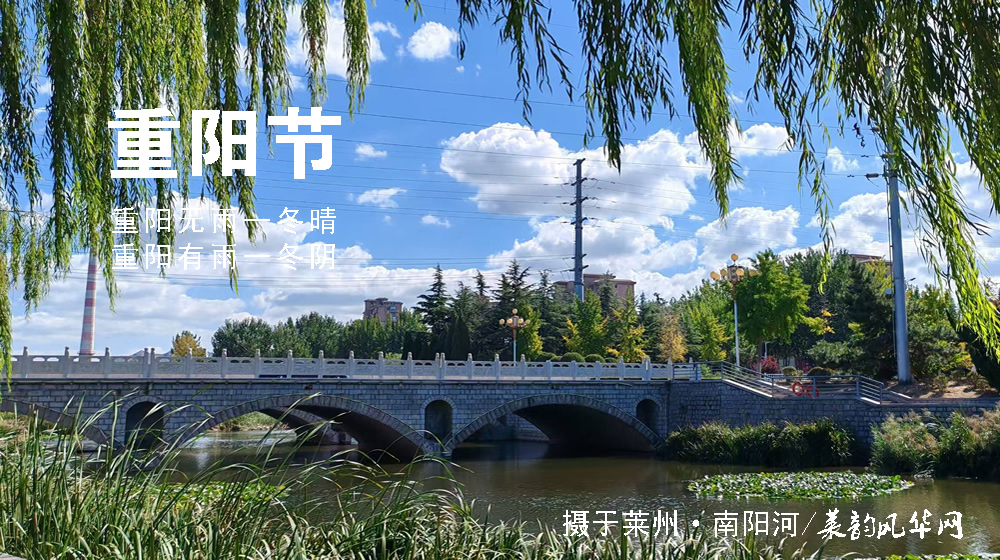 璀璨的莱州民俗文化——重阳节 第 2 张