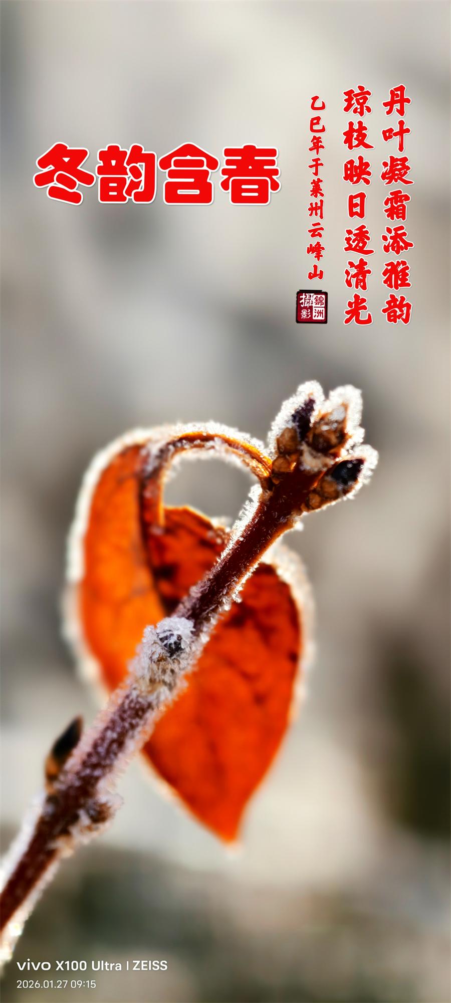 璀璨的莱州民俗文化——立春 第 2 张