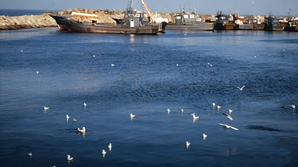卜算子·隆冬观海 第 4 张