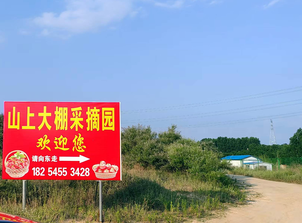 清明沟西红柿，一口找回儿时田园香 第 3 张