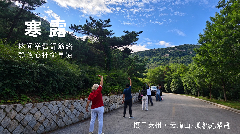 璀璨的莱州民俗文化——寒露 第 8 张