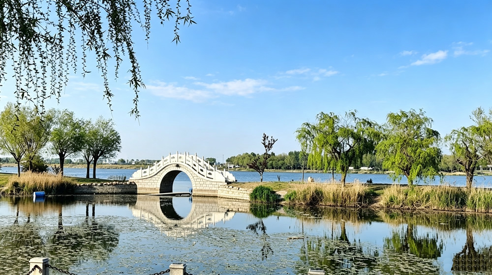 河套湿地公园：城畔湿地藏风雅 第 2 张