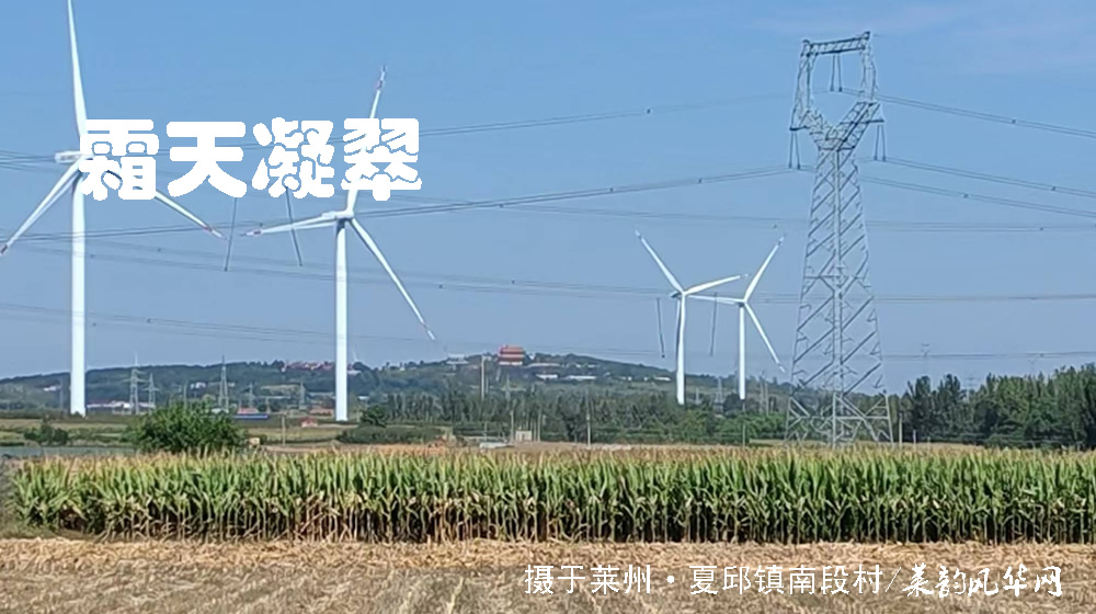 诗词十二首•感怀重阳 第 10 张