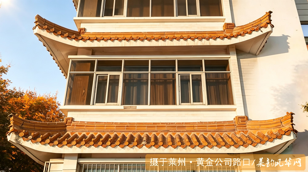 金脉筑楼，掖邑新姿 —— 莱州市黄金公司大楼建筑品读 第 4 张