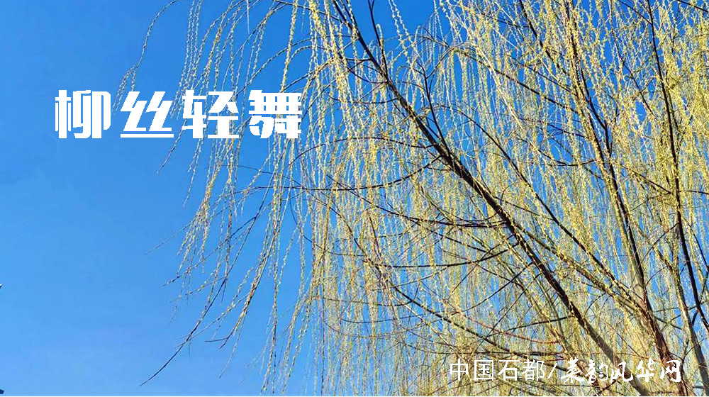 诗词三首•春韵 第 2 张