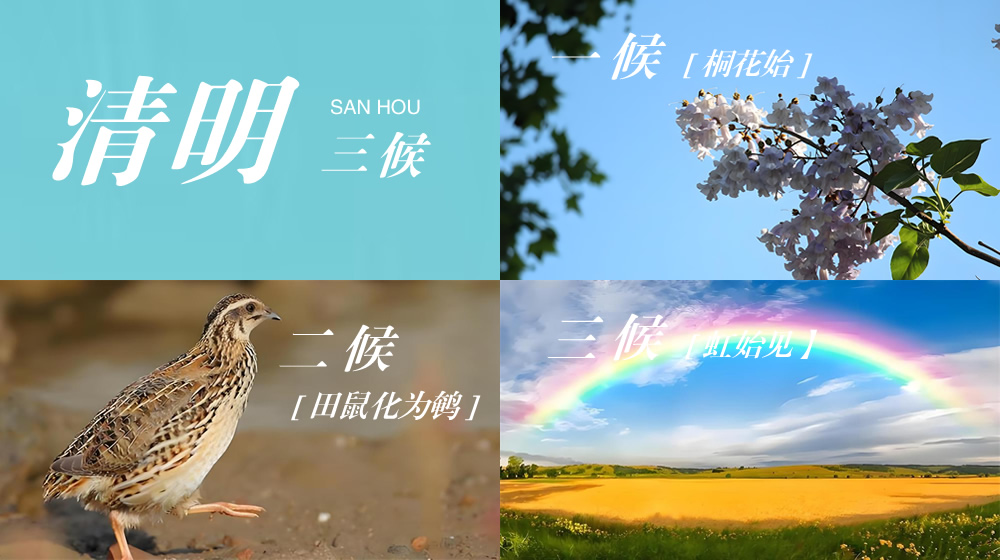 璀璨的莱州民俗文化——清明 第 6 张