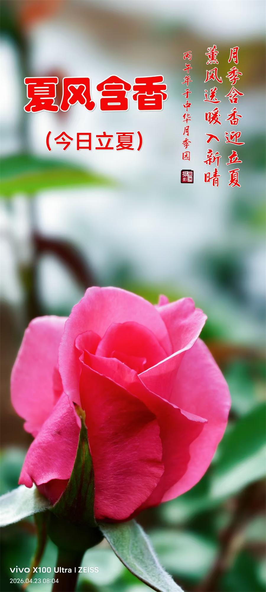 璀璨的莱州民俗文化——立夏 第 1 张