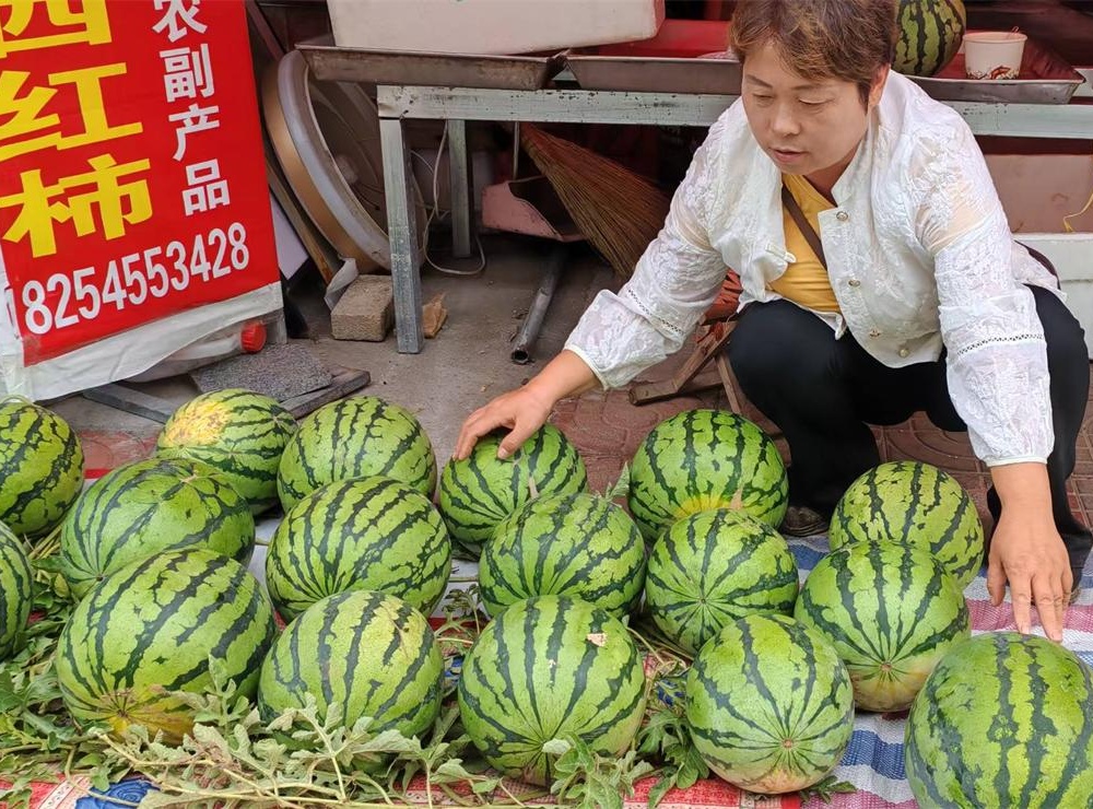 清明沟西瓜：沙壤孕佳果，清瓜润古掖 第 4 张