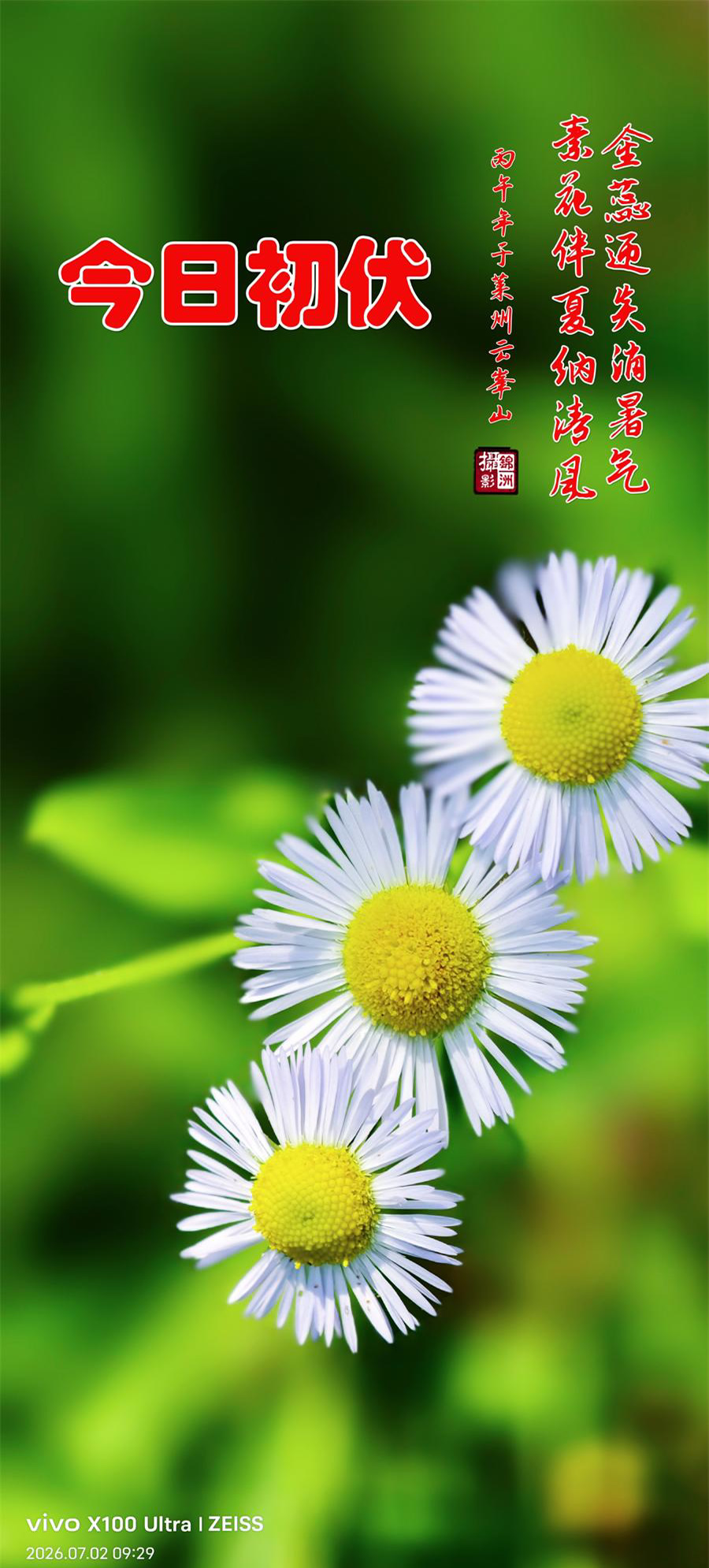 李锦洲摄影作品选：生活的问候 第 4 张
