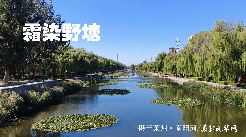 诗词十四首·寒露咏怀 第 7 张