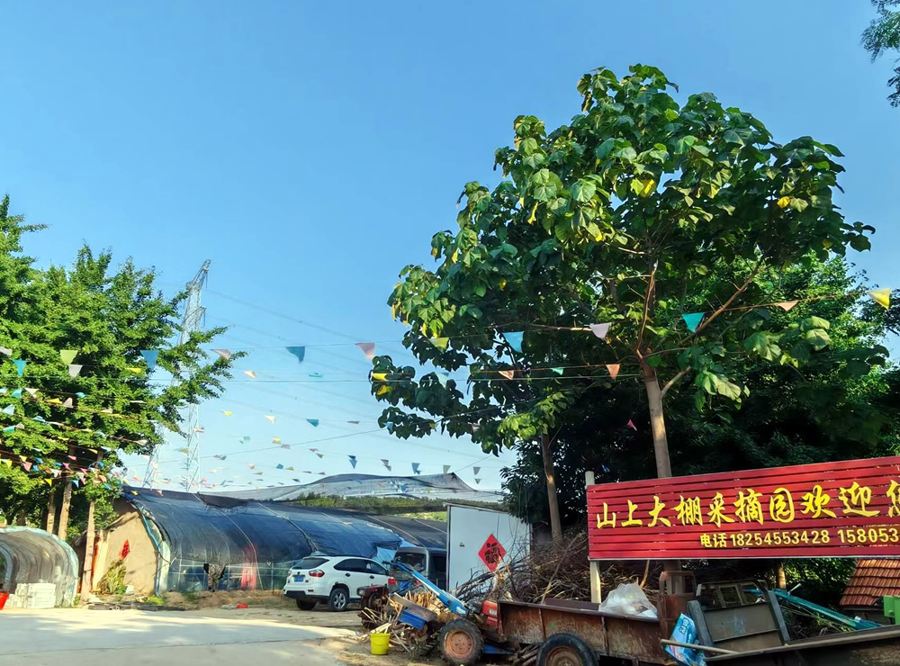 清明沟藏老味，八里香润乡愁 第 3 张