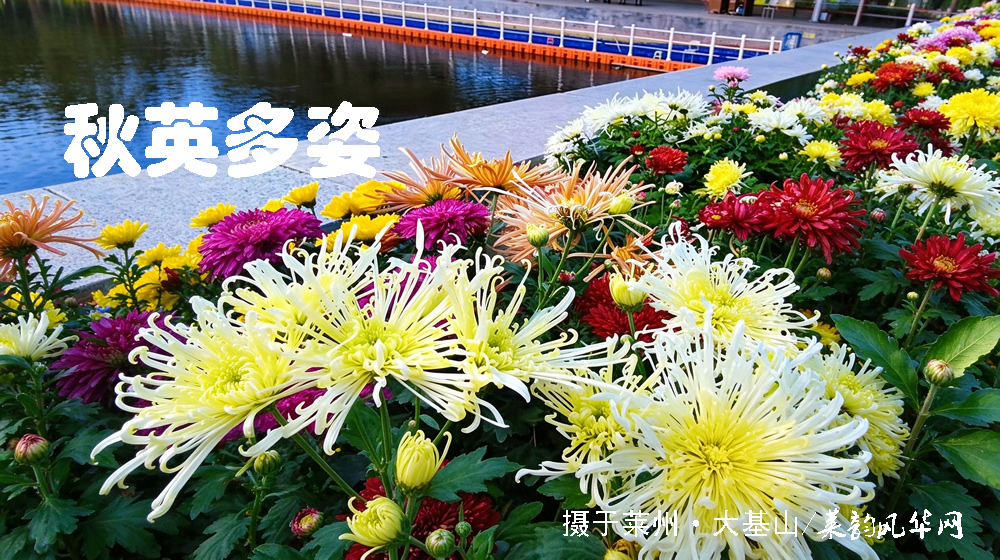 诗词八首·霜降 第 2 张