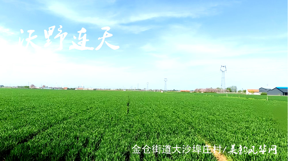 律诗三首•谷雨 第 3 张