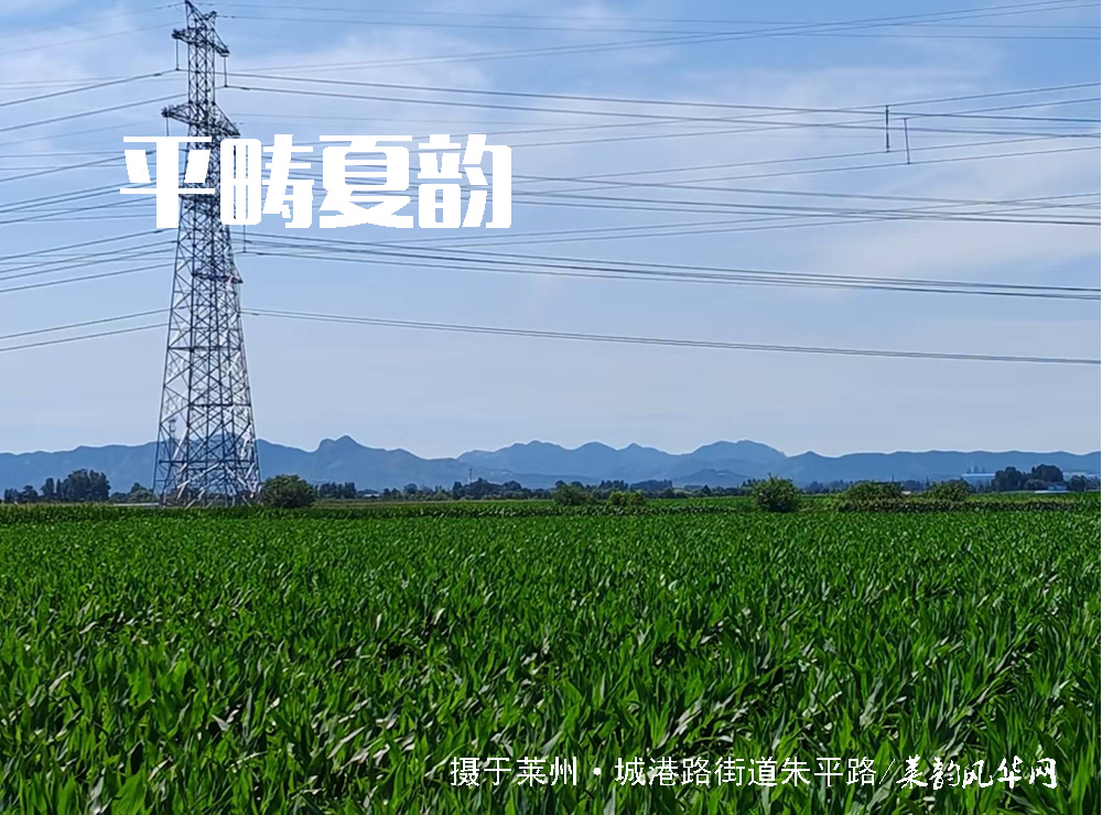 莱邑农谚解密（六）：天黄有风，地黄有雨 第 6 张