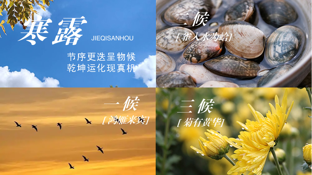 璀璨的莱州民俗文化——寒露 第 9 张