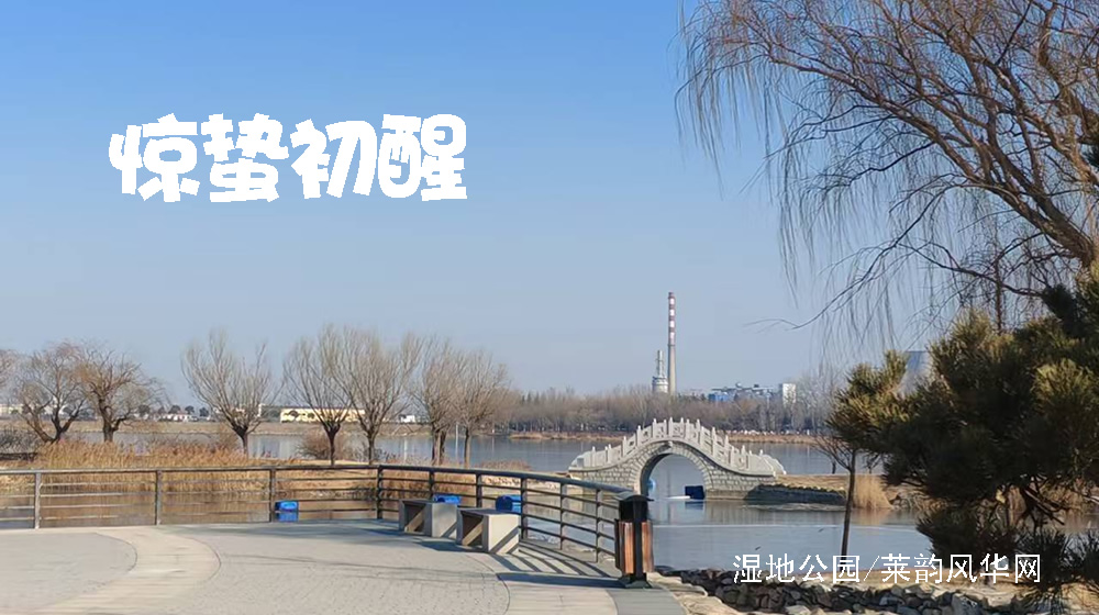 律诗三首•惊蛰 第 1 张