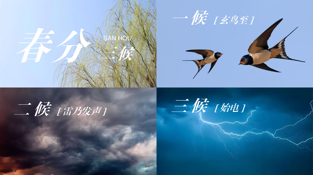 璀璨的莱州民俗文化——春分逢二月二 双节同庆 第 7 张