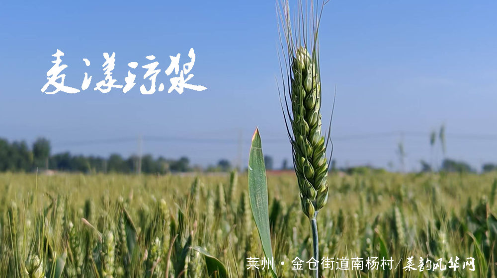 绝句四首•莱州小满天 第 4 张